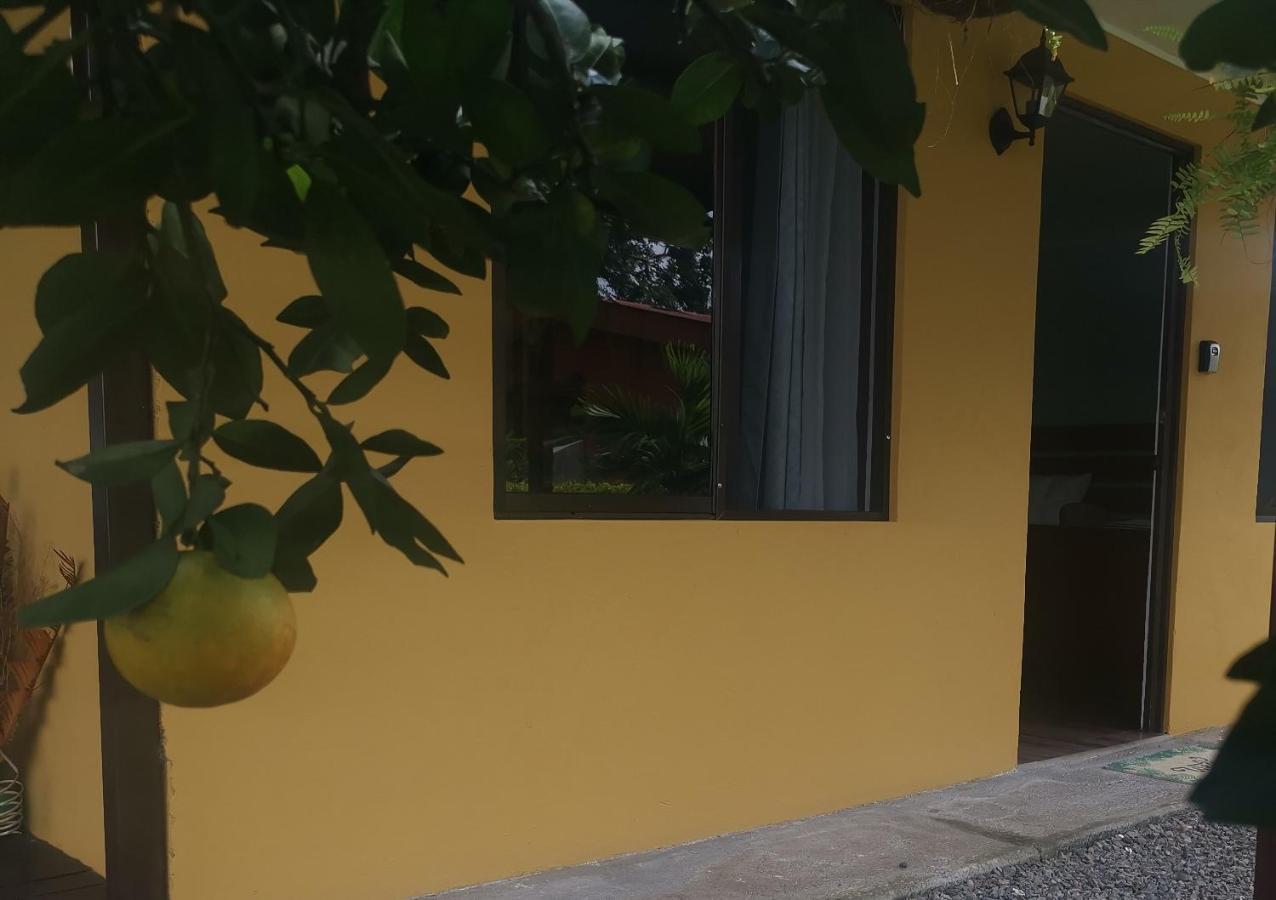 Dreamcatcher House Sarchí 外观 照片